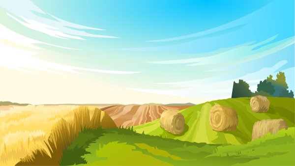 Нарисованное поле