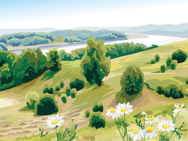 Рисунки природы