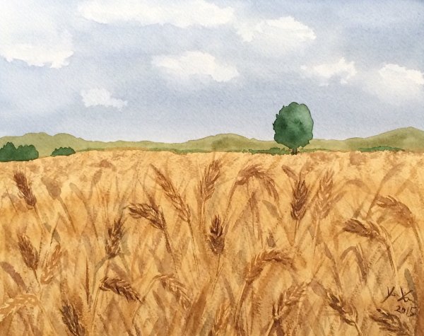 Поле льна рисунок