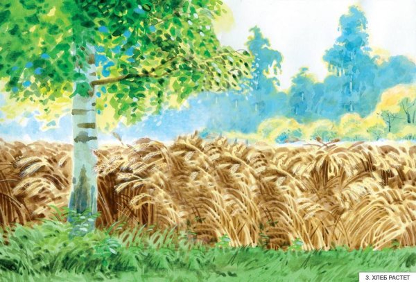 Рисование хлебное поле