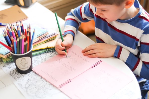 Детский дневник