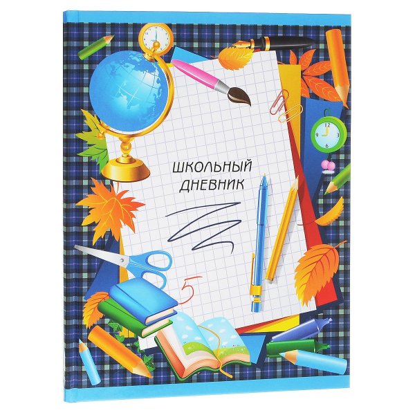 Обложка для дневника