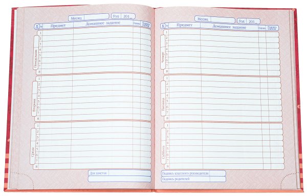 Обычный дневник школьника