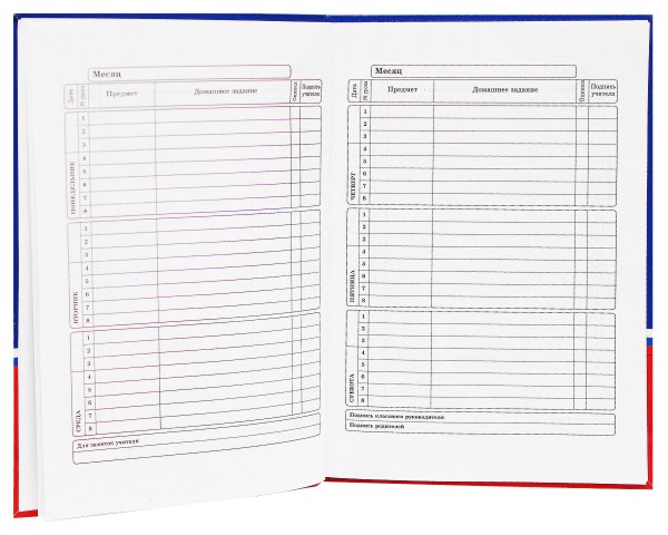 Дневник домашнее задание