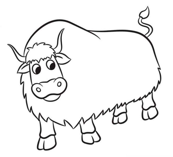 Бычок рисунок