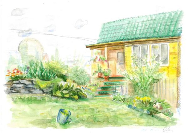 Рисунки садовых участков