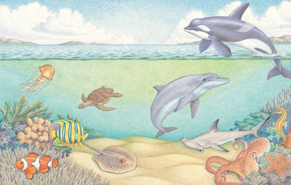 Рисунок на тему море