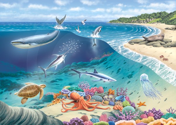 Океан для детей