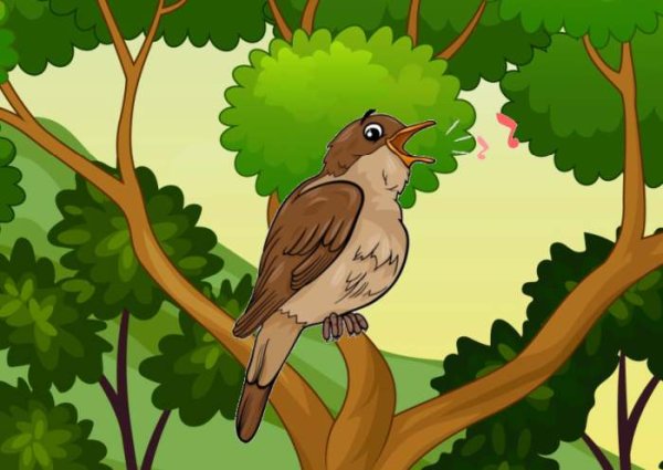 Мультяшные птицы