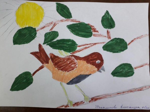 Владимир Соловье рисуют дети