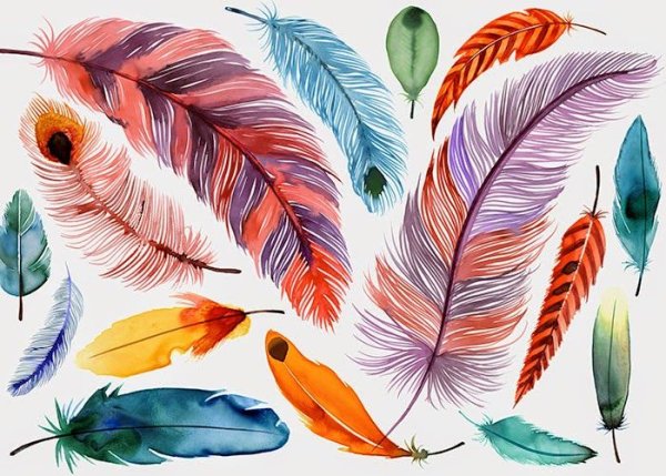 Перо птицы для рисования