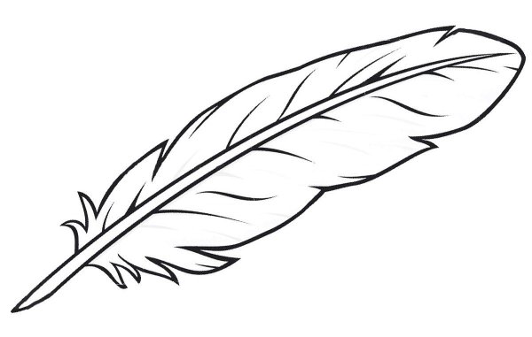 Рисунок пера