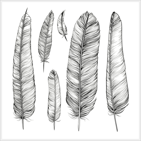 Перо рисунок