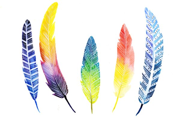 Цветные перья птиц