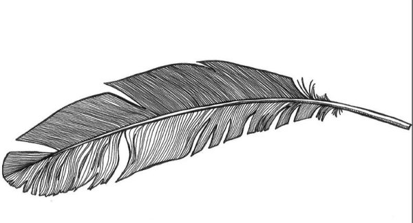 Перо раскраска для детей