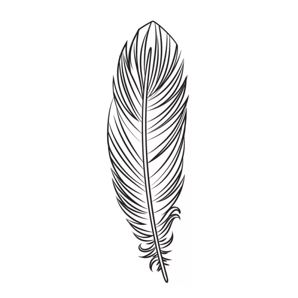 Контурное перо