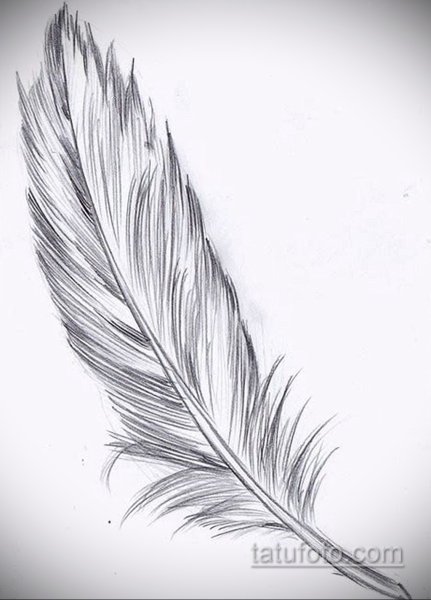 Перо тату эскиз