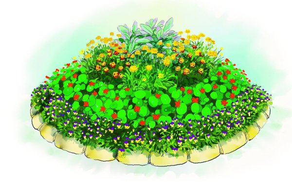 Клумбы в детском саду