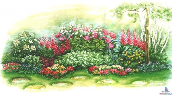 Клумба с цветами рисунок