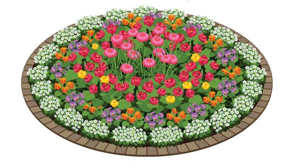 Клумба рисунок