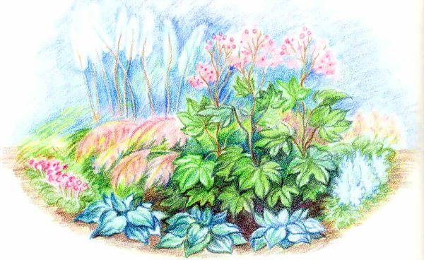 Клумба карандашом