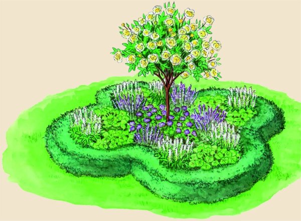 Клумбы для рисования