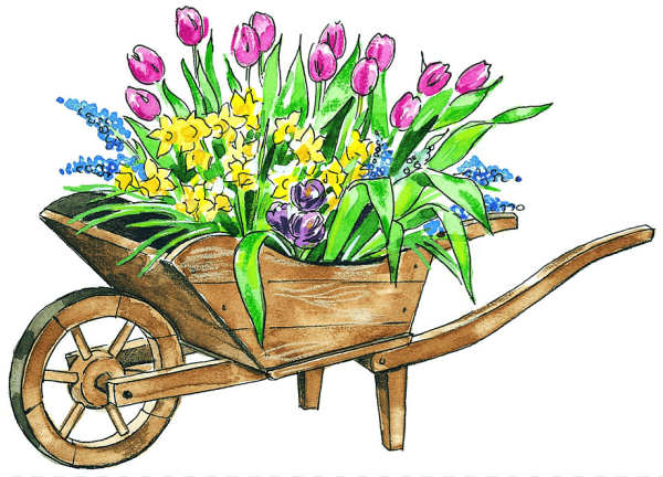 Клумба с цветами