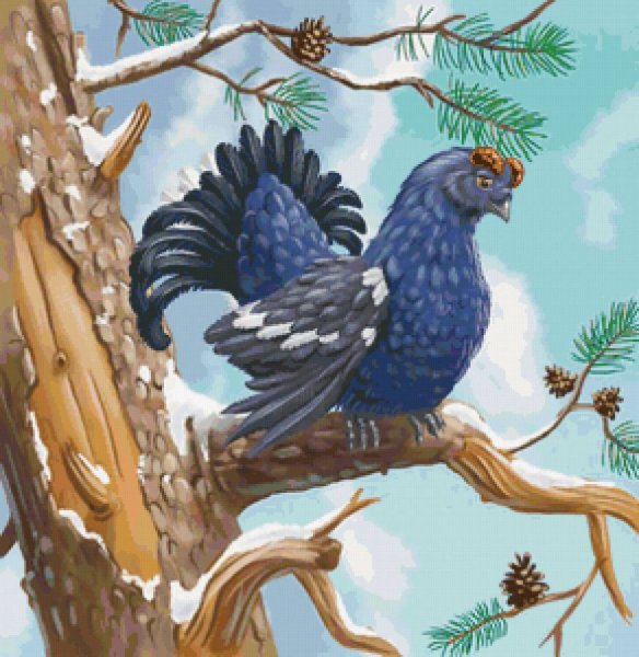 Терентий тетерев птица