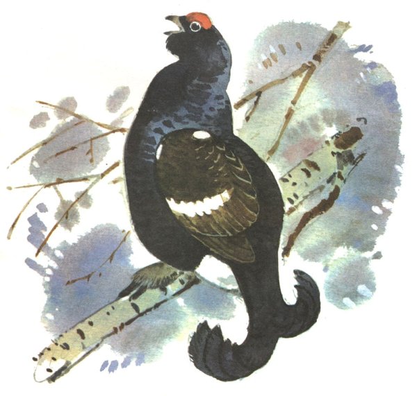 Тетерев Терентий сказка