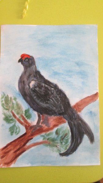 Детский рисунок тетерева