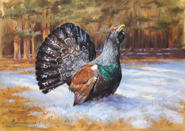 Глухарь картина