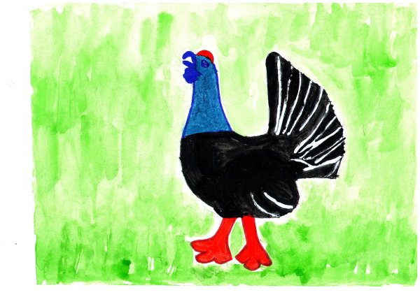 Тетерев рисовать ребенку