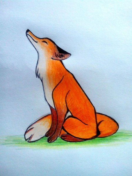 Рисунок лисы