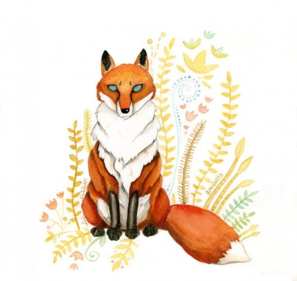 Рисунок лисы