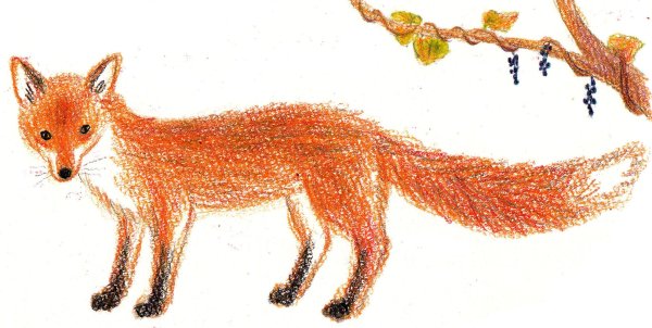 Рисование лиса