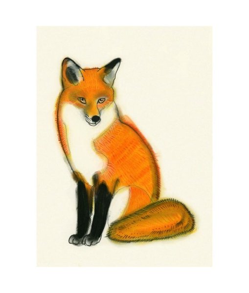 Плоскостные изображения лисиц