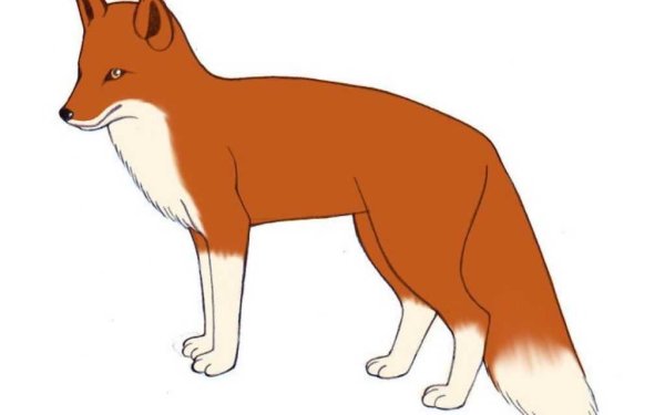 Лиса карандашом для детей