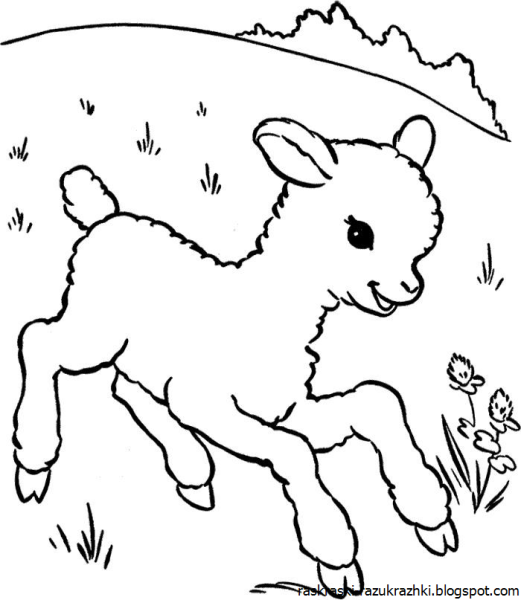 Нарисовать козленка пошагово