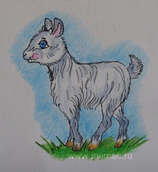 Козлёнок раскраска для детей