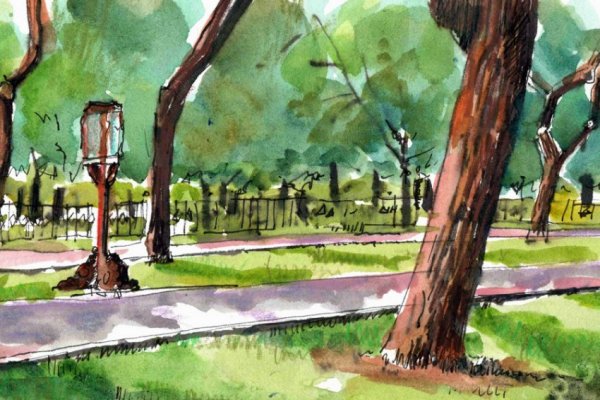 Рисунок парка