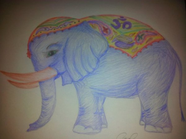 Индийский слон рисование