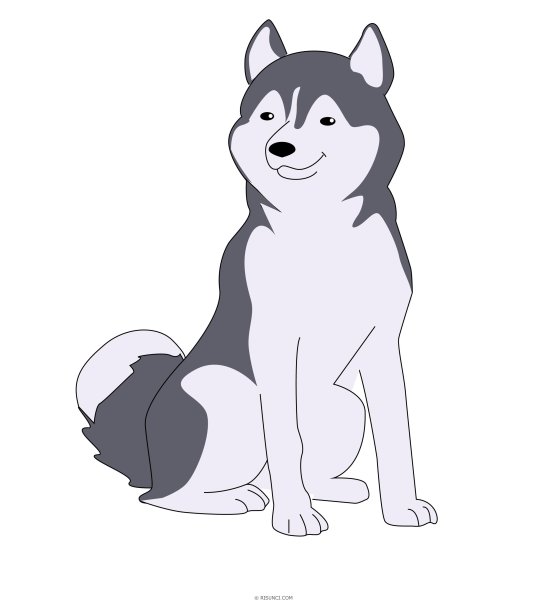 Нарисовать хаски