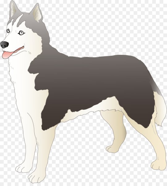 Alaskan Malamute вектор