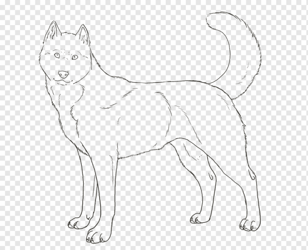 Раскраска хаски
