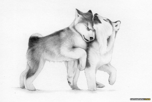 Рисунки из лайка легкие