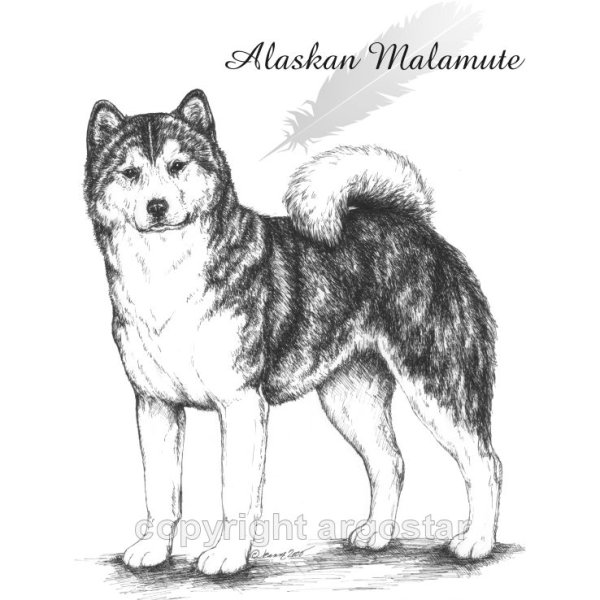 Хаски мультяшки