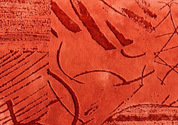 Шарль флоке