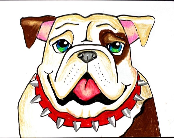 Пес бульдог по кличке дог