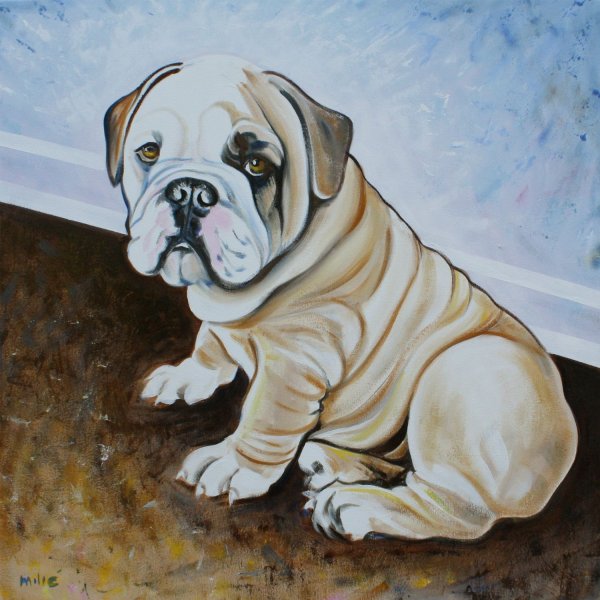 Пес бульдог по кличке дог