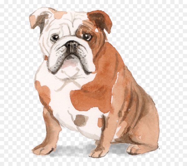 Мультяшные бульдоги